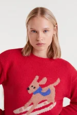 Ζακάρ πουλόβερ με στάμπα σκύλου σκι COMPANIA FANTASTICA FW25-26 - Image 4